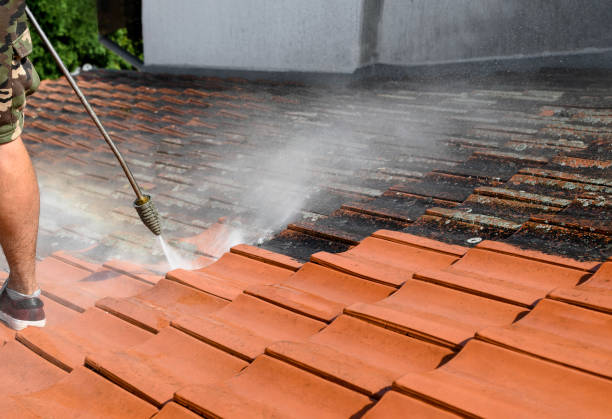 Best Best Pressure Washing Companies  in Brookfield, IL